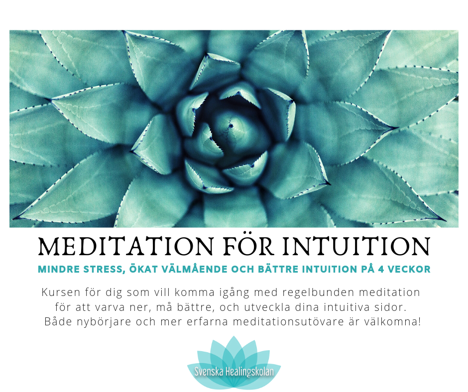 Meditation för intuition - Meditationerna
