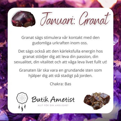 Armband stenchips - Granat