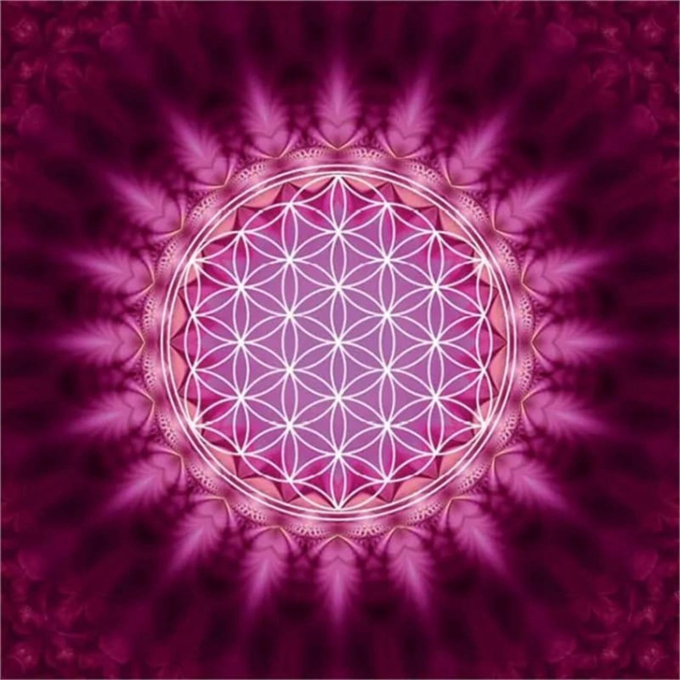 Kort med kuvert - Livets blomma. Flower of life. Ekologiskt