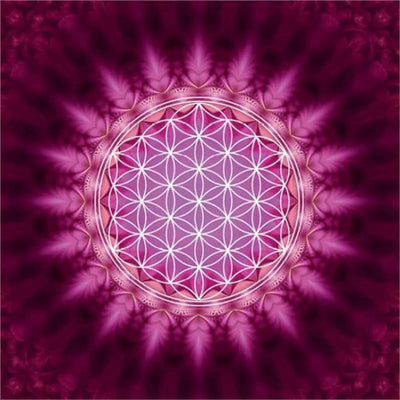 Kort med kuvert - Livets blomma. Flower of life. Ekologiskt