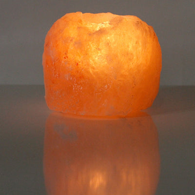 Saltlykta rosa