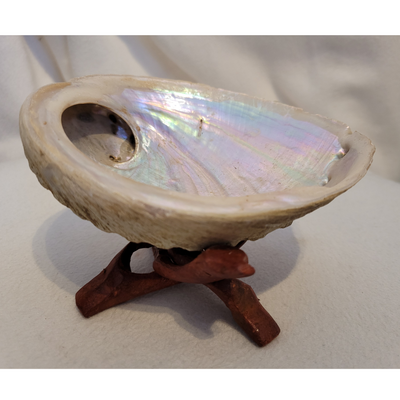 Abalone-snäcka för smudging etc (abalone skal)