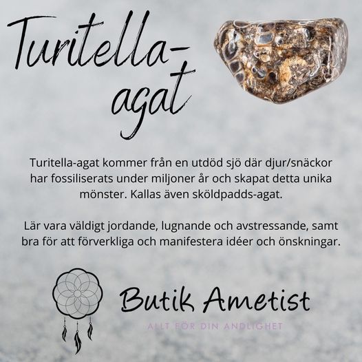 Sköldpaddsagat / Turitella agat